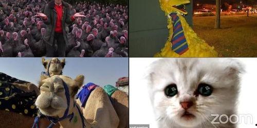 环球搞笑新闻